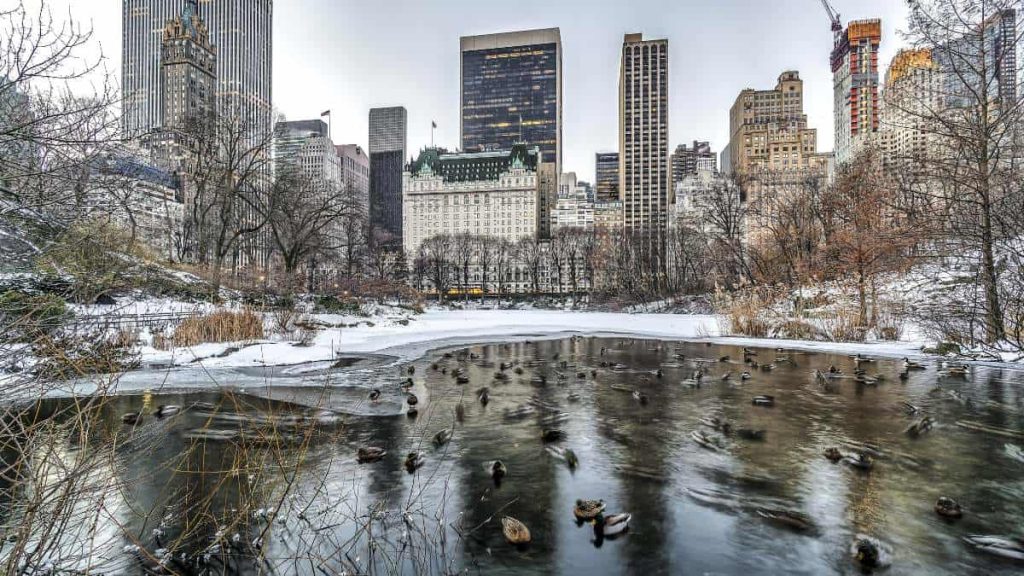 Central Park, New York City hotel in winter after snow.