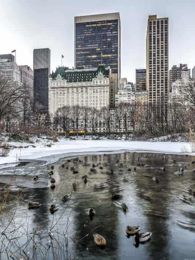 Central Park, New York City hotel in winter after snow.