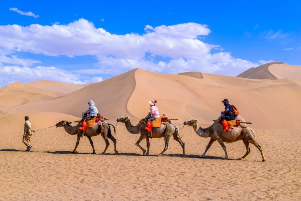 men traveling through camel in desert.