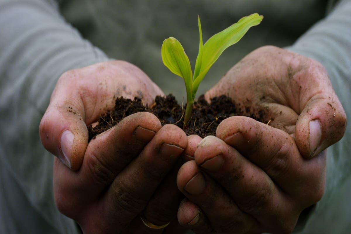 How to Be More Nurturing, a man holding a plant in his hands.