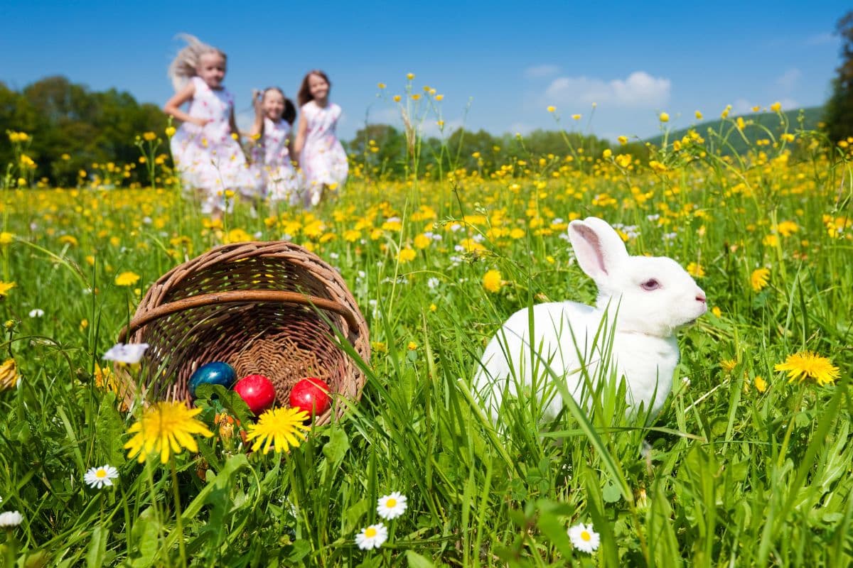 kids running outdoors towards an easter eggs in a basket with a bunny beside it.