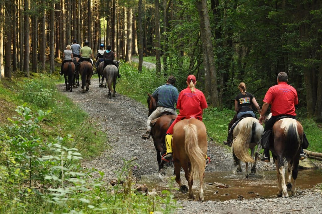 Horse riding.