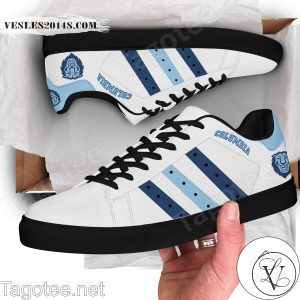 Columbia Lions Print Stan Smith Shoes Style