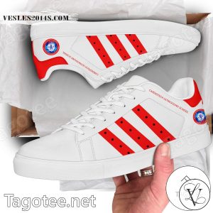 Houston International College Cardiotech Ultrasound School Logo Stan Smith Shoes